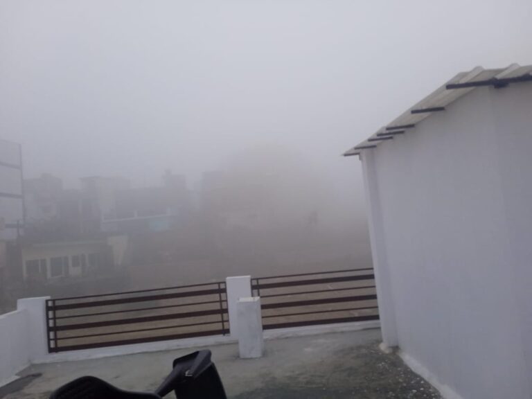 कोहरे मे घर