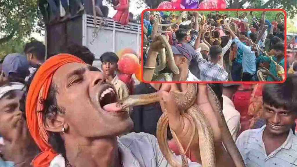 In India Snake fair! As many snakes as people, you will be surprised to see the stunts; Know what is the worship of ‘Mata Vishhari’