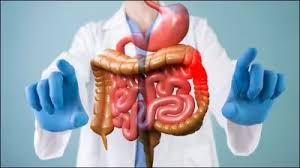 Identify poor gut health with these signs, it promotes many serious diseases