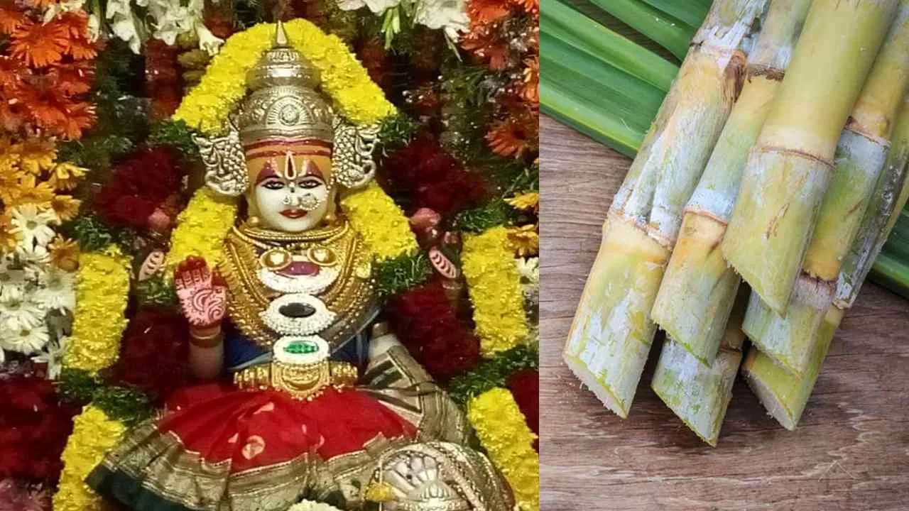 Lakshmi is made from sugarcane on Diwali in Kumaon
